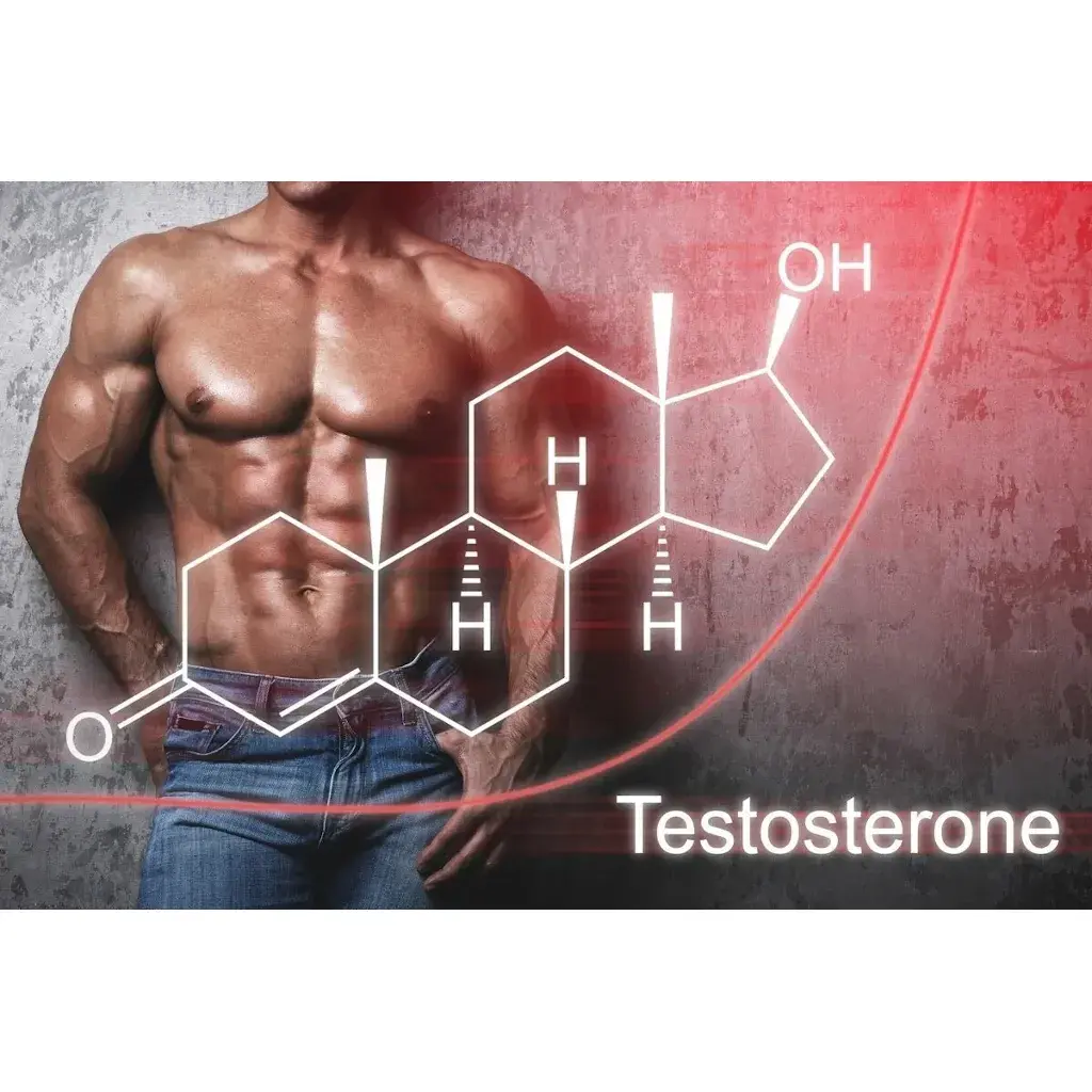 Increase Testosterone Levels